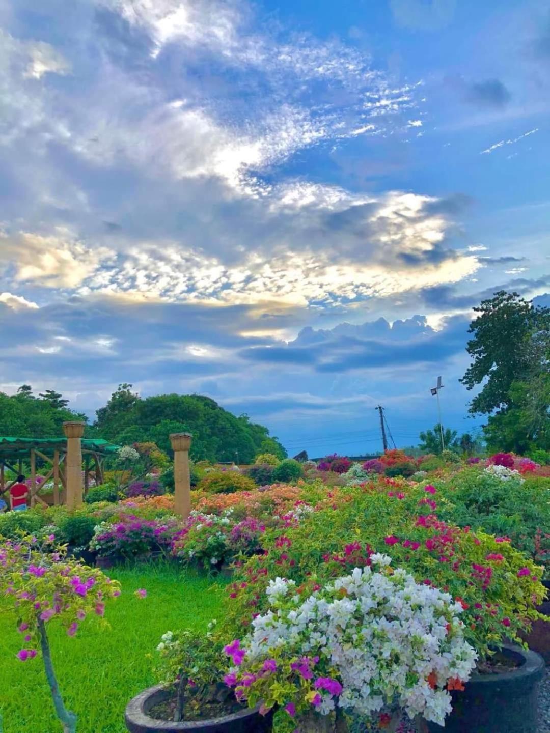 Beach Resorts Walking Distance To The Town House ダバオ　シティ エクステリア 写真